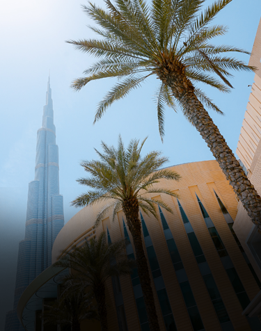 Business Setup In Dubai